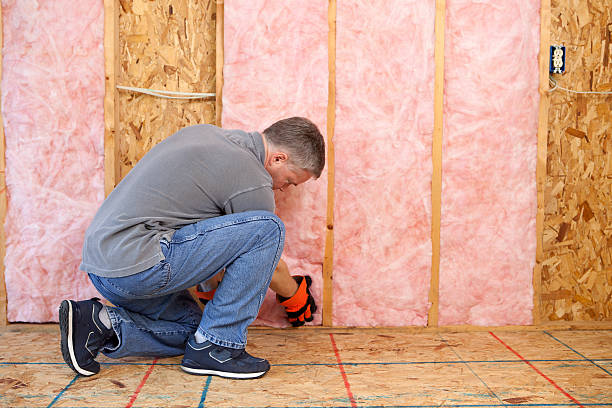 Best Wall Insulation Contractor  in Hawaiian Beaches, HI